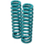 Dobinsons spring pair+45mm Front