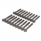 Head bolt kit 2.5 2005-