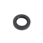 Rear Axleshaft Seal