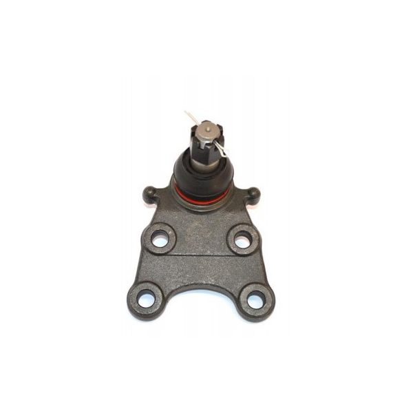 Lower ball joint