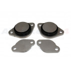 EGR ventil borttagning TDV6