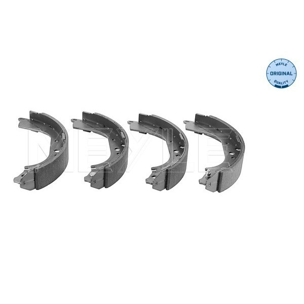 Rear brake shoe kit