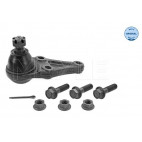 Balljoint front Lower Mitsubishi