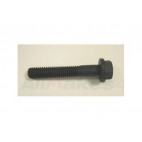 Cylinder Head Bolt - Short 4.0 and 4.6