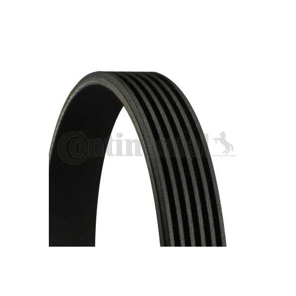 Fan Belt 6PK1555