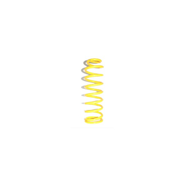 RAV4 2 00-05 Rear coilspring  Pair