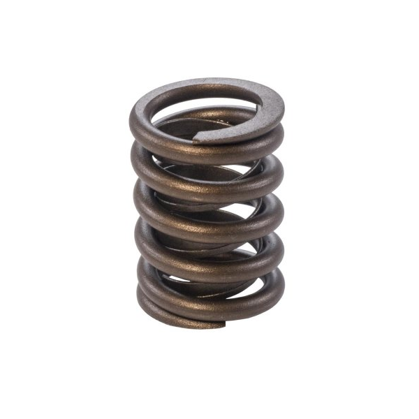 Valve spring VS280