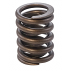 Valve spring VS280
