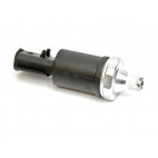 Oil Presure Sensor 1998