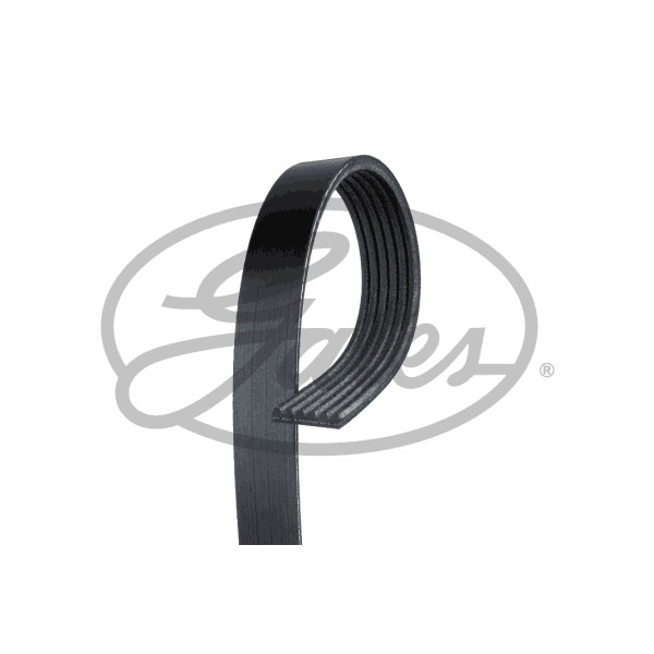GAT 6PK1000 Serpentine Belt