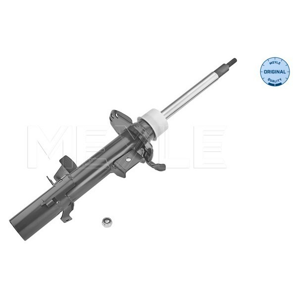 Shock Absorber, Front, Right, Freelander 2