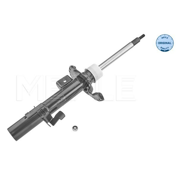 Shock Absorber, Front, Left, Freelander 2