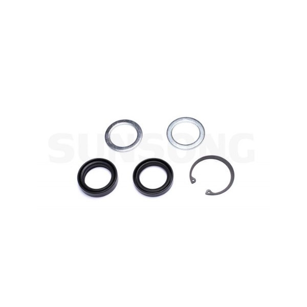 Steering Gear Seal Kit Lower Steering Gear Seal Kit Lower
