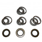 Diff & pinion bearing kit - Front