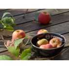 Enamel Bowls / 2 Piece / Black - by Petromax