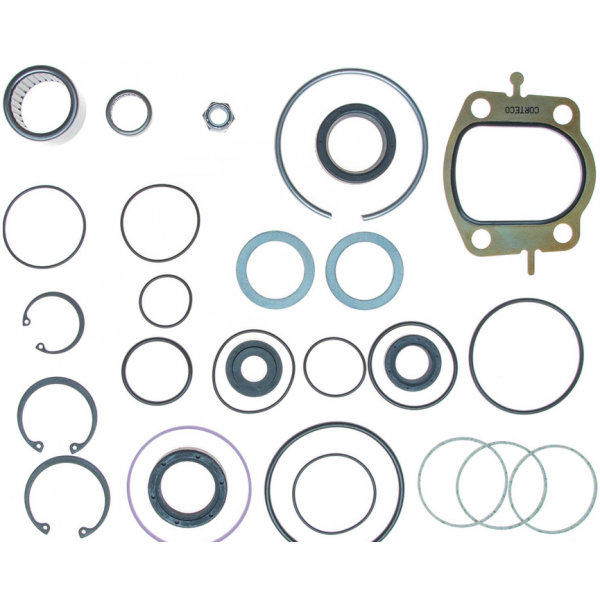 Steering gear rebuild kit 