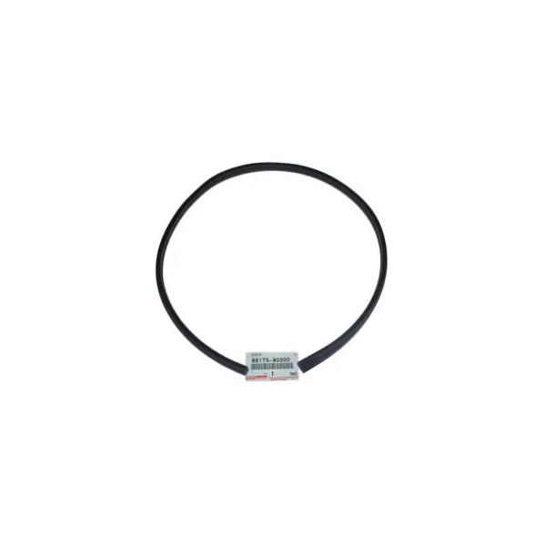 Door Glazing Seal, Landcruiser Series 40