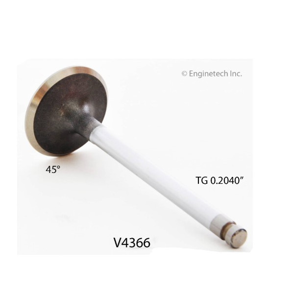 Intake Valve, GM