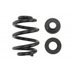 Coil spring 1pc Rear Lesjöfors