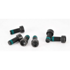 Flywheel Bolt Kit