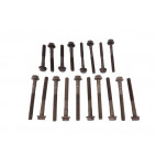 CylinderHead Bolt Kit 200TDI
