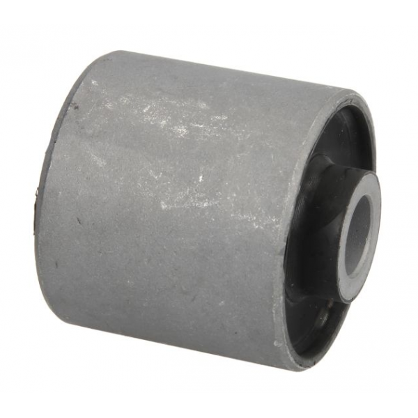 Rear Control Arm Inner Bushing