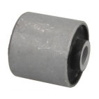 Rear Control Arm Inner Bushing