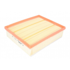 Air Filter Puma