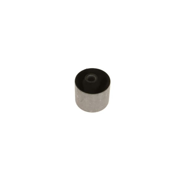 Rear Controlarm bushing