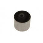 Rear Controlarm bushing
