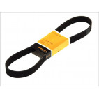 Serpentine belt 2.5TD