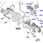 Gasket - EGR Cooler