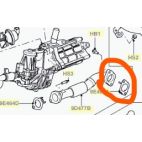 EGR pipe to manifold gasket