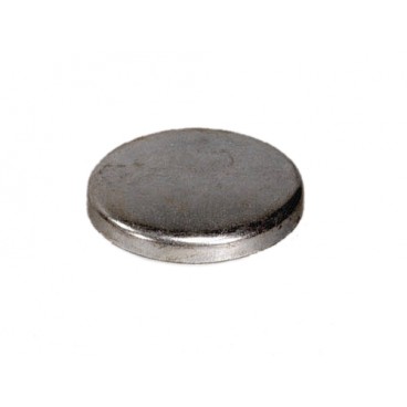 AMC V8  CAM SHAFT PLUG