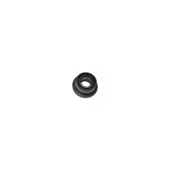 Shift Shaft Seal
