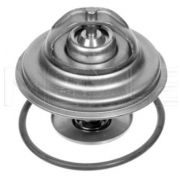 Termostat 80 C