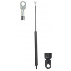 Gas Spring Trunk