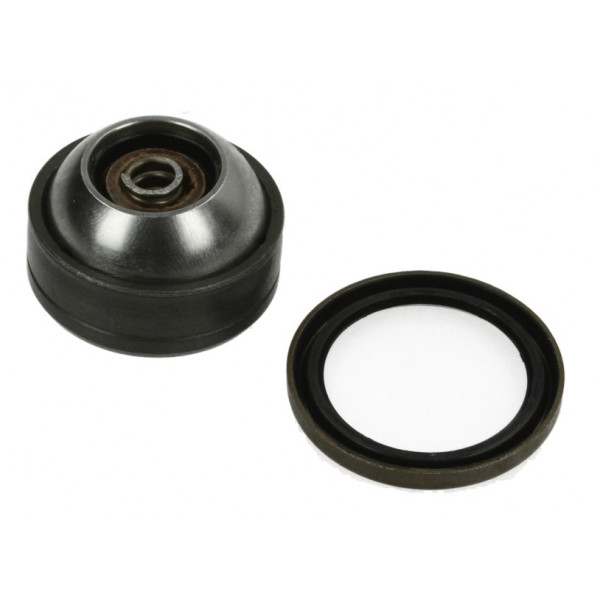 YOKE (DOUBLE JOINT) Bearing