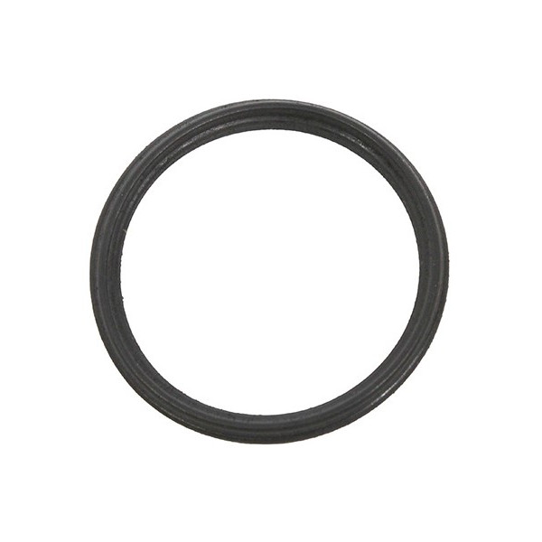 O Ring Mellan Vattenpump Och Blocket