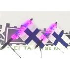 LED Whip Light Kit 2pc 2FT