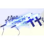 LED Whip ljusset 2st 4FT