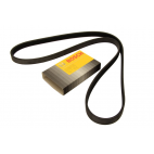 Apulaitehihna Laturille Freelander 1 (1.8L)