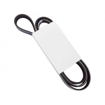 SERPENTINE BELT SERPENTINE BELT
