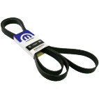 SERPENTINE BELT