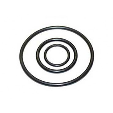 OIL FILTER MOUNT SEAL KIT