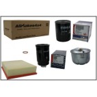 filter Kit, Land Rover Td5