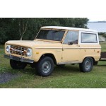 Bronco